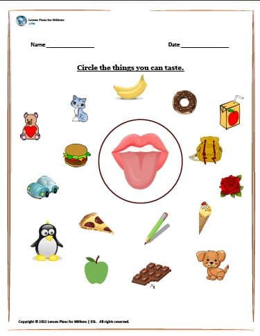 Circle the things you can taste - Lesson Plans for Millions