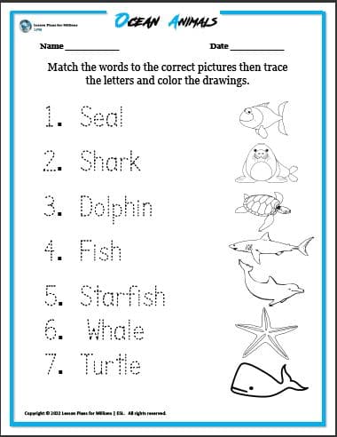 OCEAN ANIMALS MATCHING - Lesson Plans for Millions