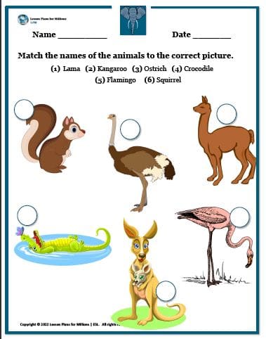 Match the names of the animals to the correct picture - Lesson Plans for  Millions