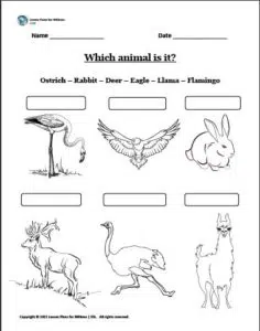 Which animal is it 2